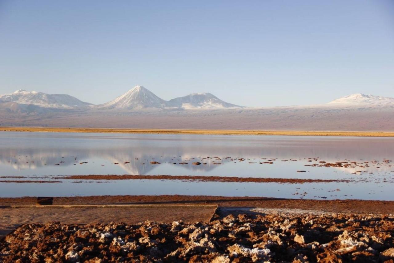Cota6000 Dpto B Lejlighed San Pedro de Atacama Eksteriør billede