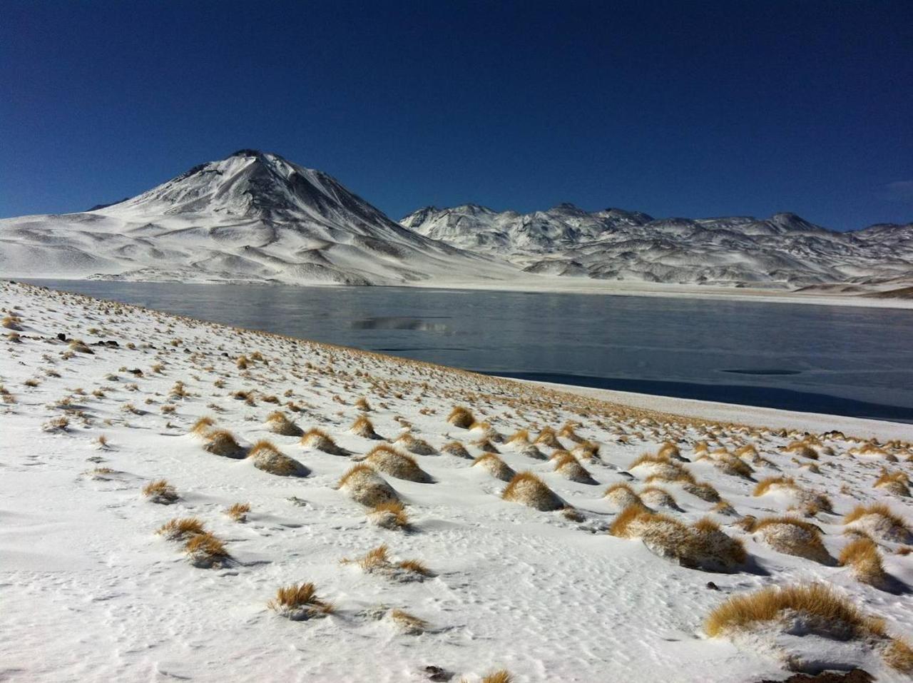 Cota6000 Dpto B Lejlighed San Pedro de Atacama Eksteriør billede