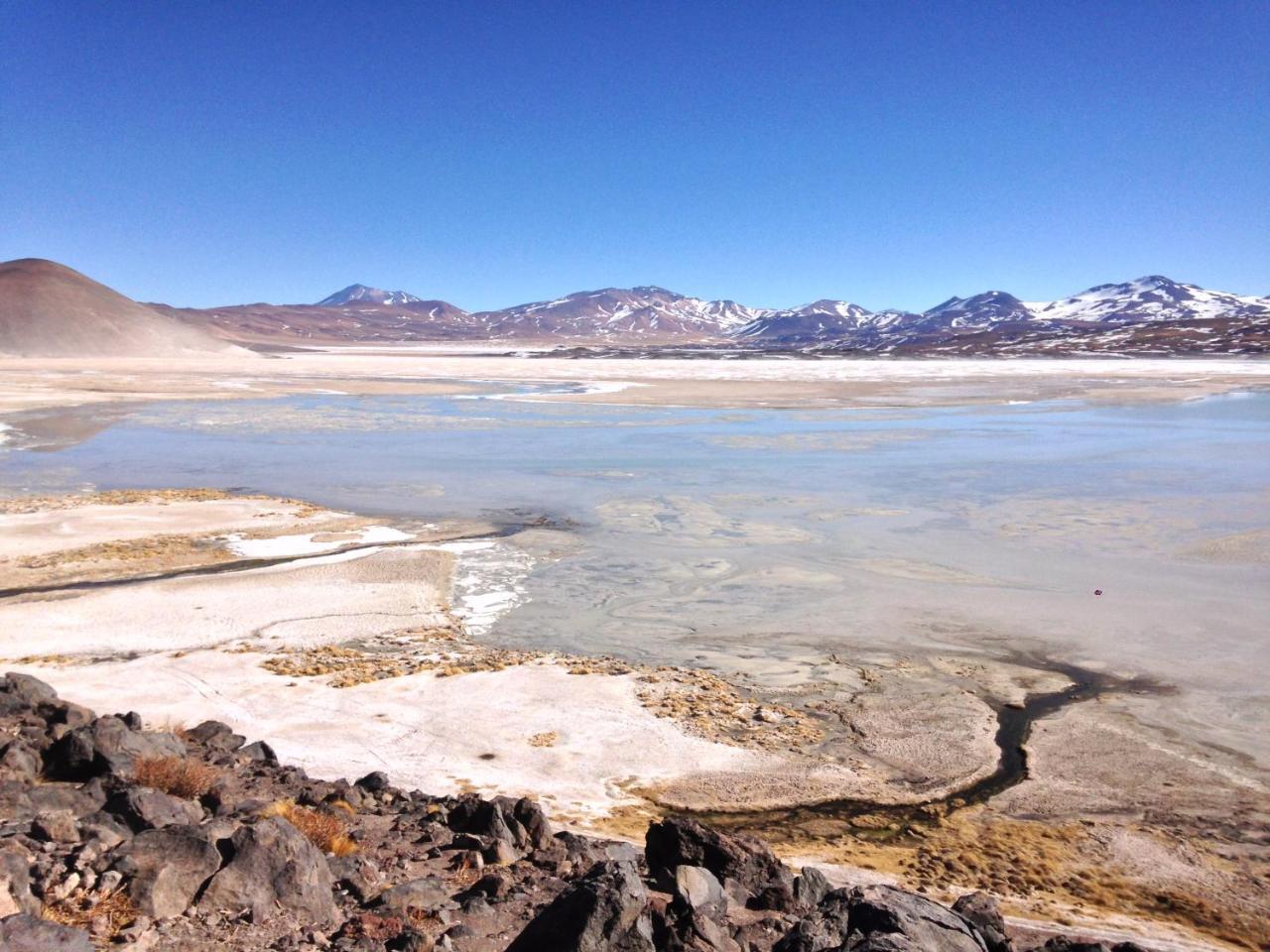 Cota6000 Dpto B Lejlighed San Pedro de Atacama Eksteriør billede